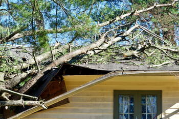 Storm Damage in August F. Haw, California by ABI Construction Inc